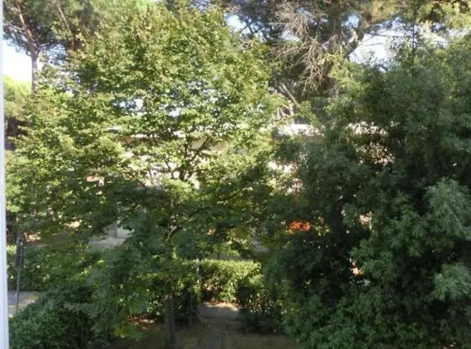 Spacious In A Wonderful