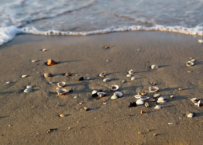 Spacious In A Wonderful *